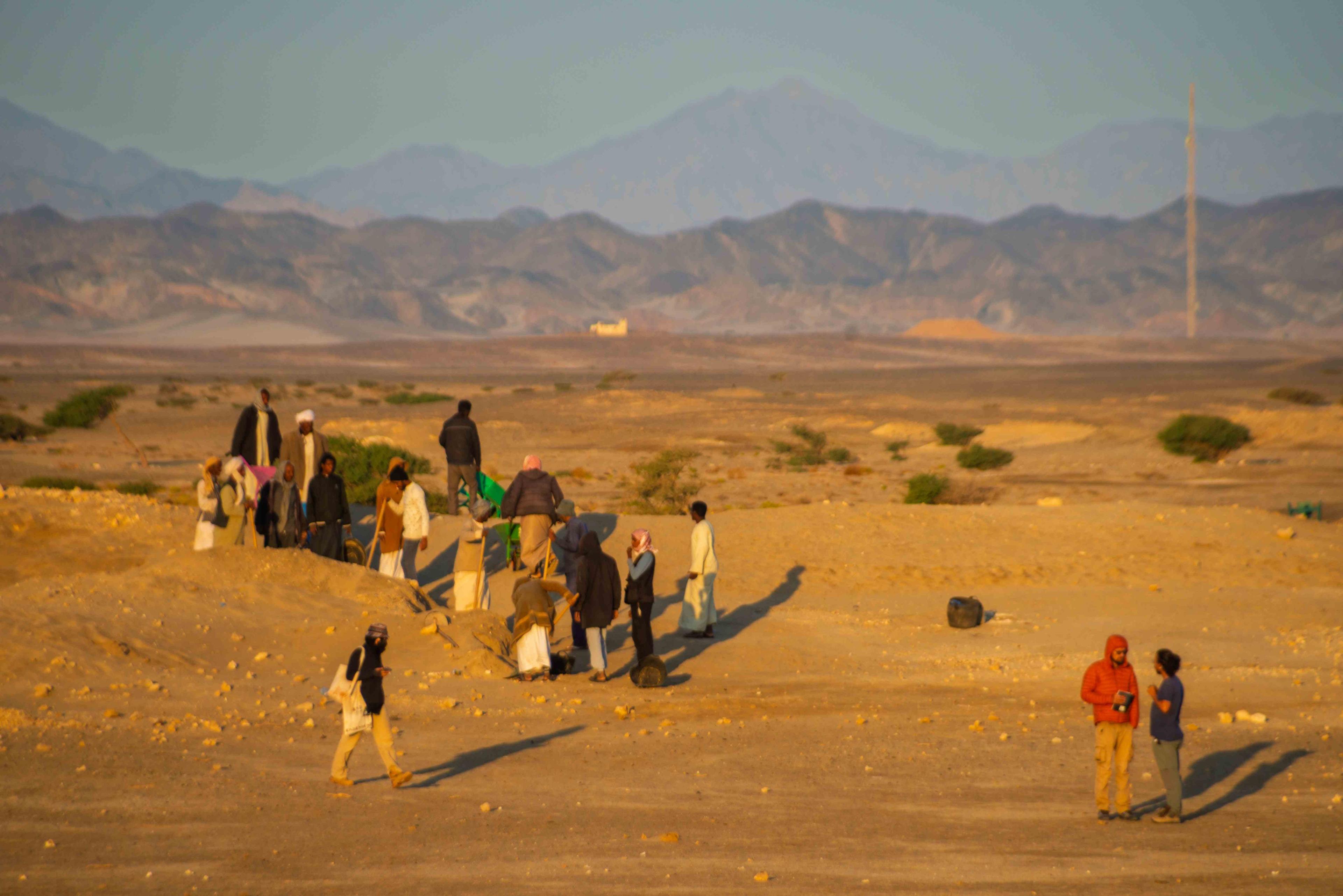 Fieldwork